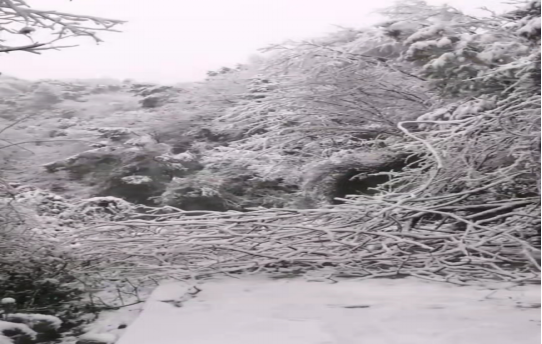 战暴雪、保供电！乐鱼官方网页版-乐鱼(中国)鸟儿巢乐鱼官方网页版-乐鱼(中国)
应对极端天气紧急抢修失电故障